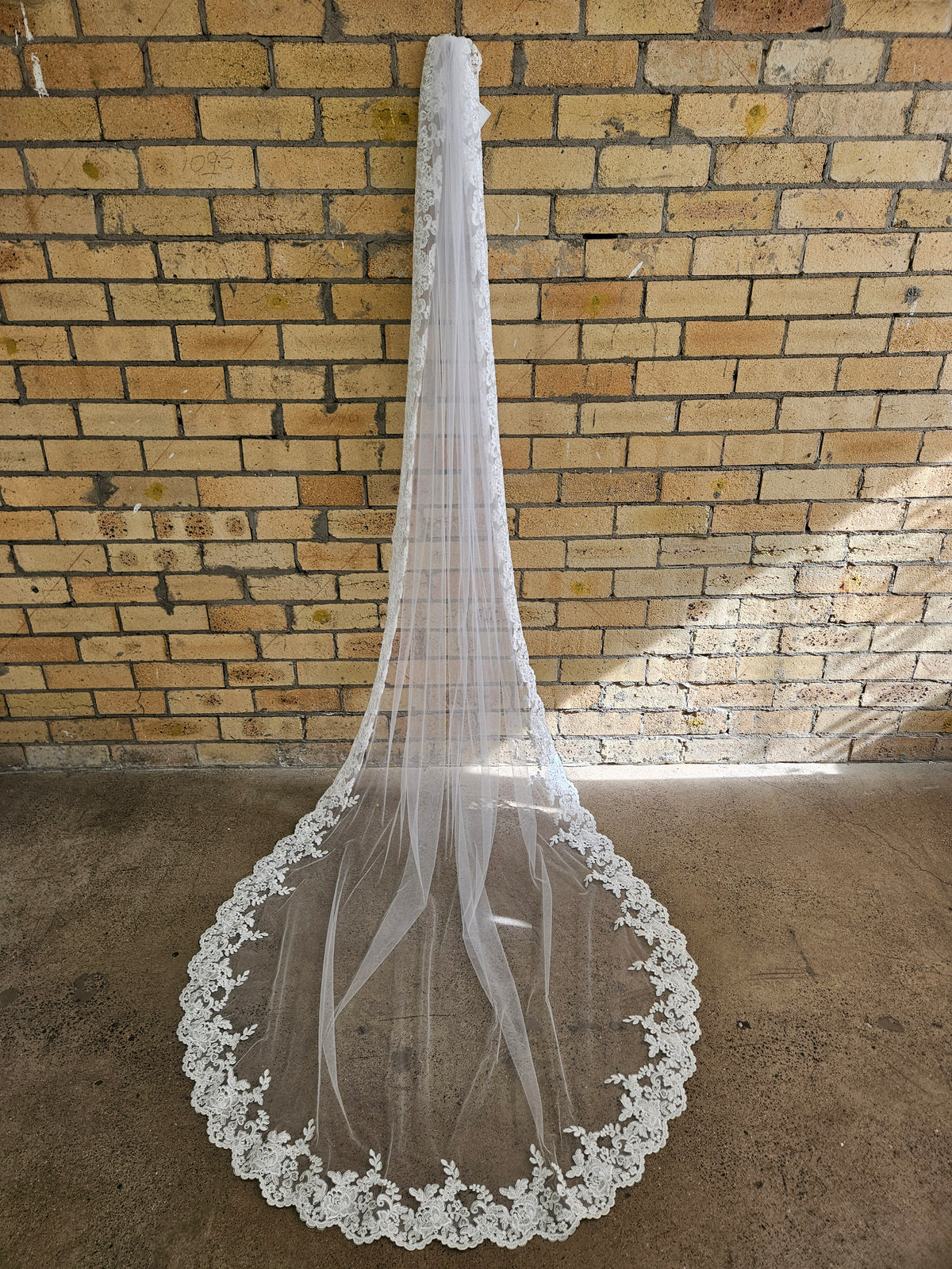 Lace Edge Veil
